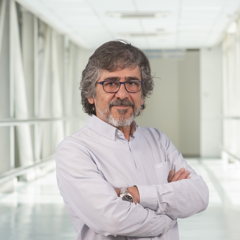 Dr. Luis Villarroel Del Pino